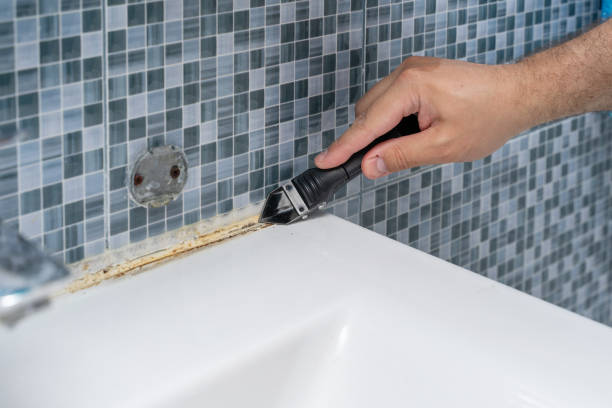 Best Black Mold Removal  in Feasterville, PA